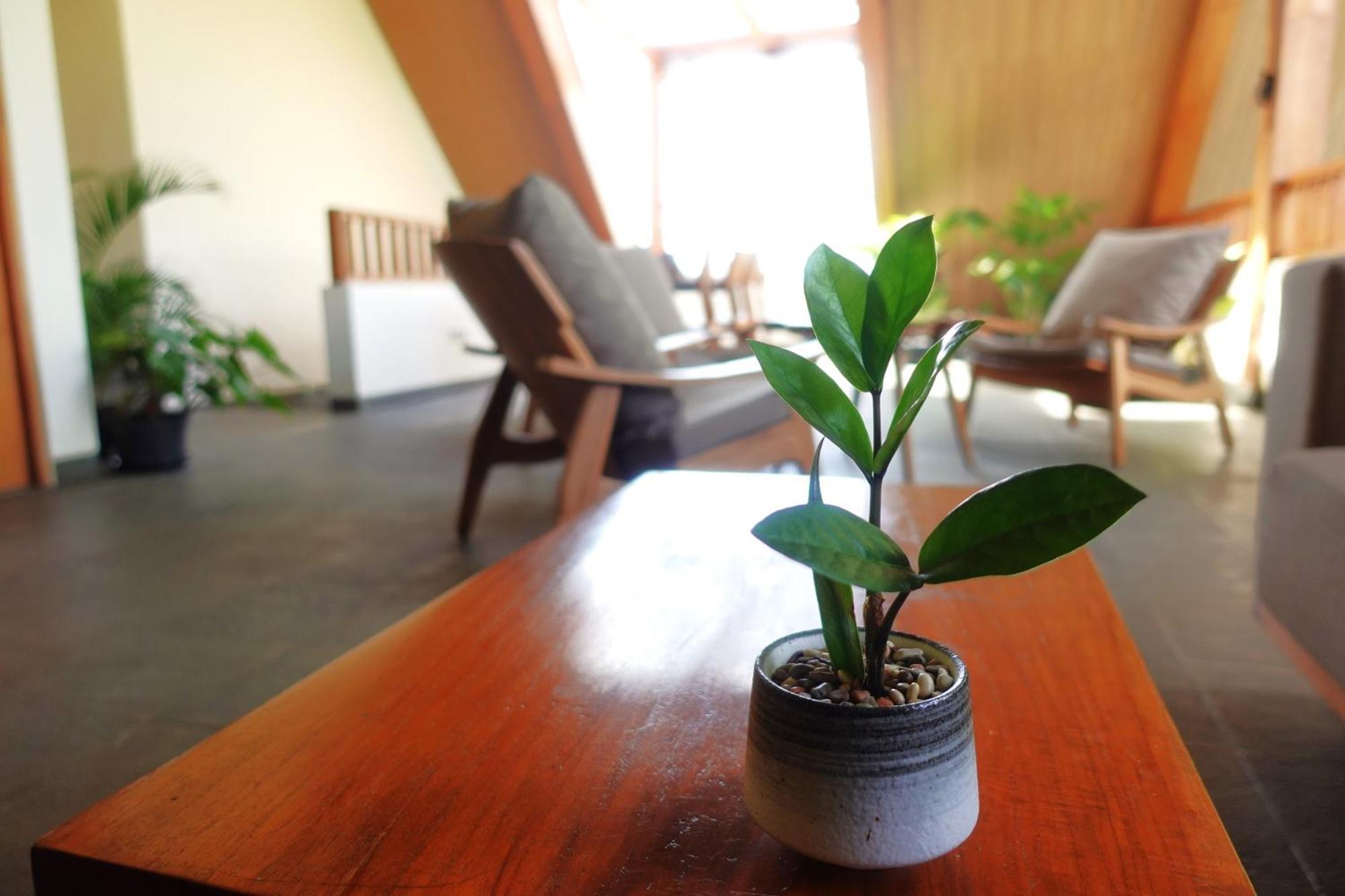 The Vinaya Boutique Hotel Ubud Eksteriør bilde