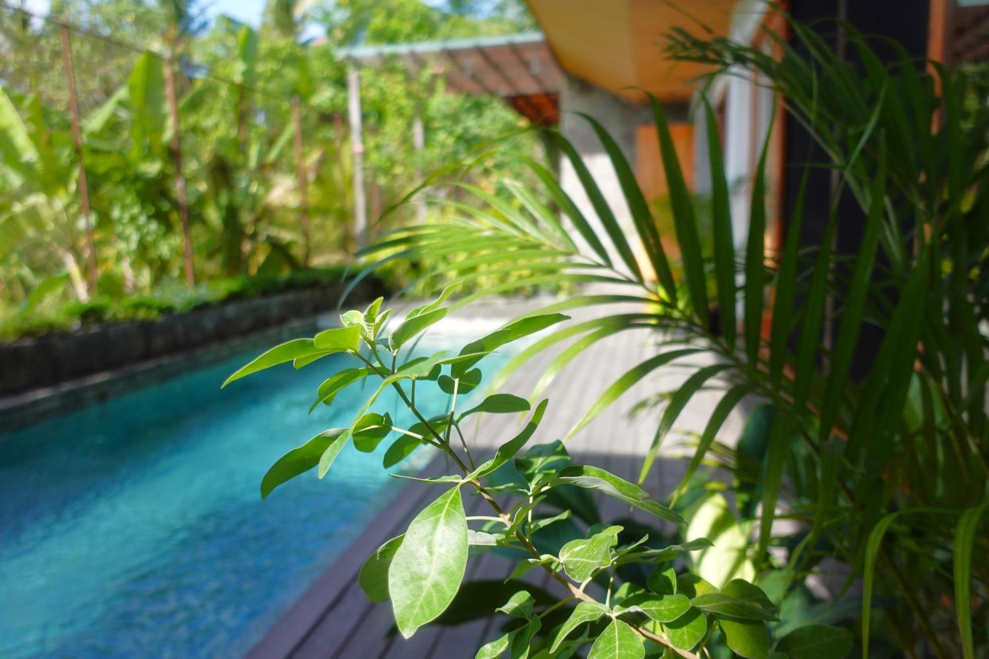 The Vinaya Boutique Hotel Ubud Eksteriør bilde